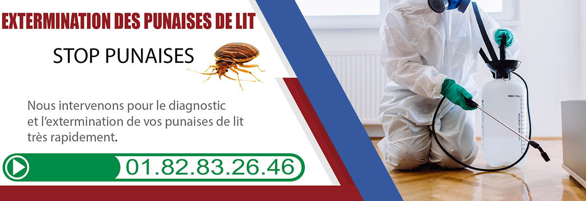 Deratisation Montrouge 92120